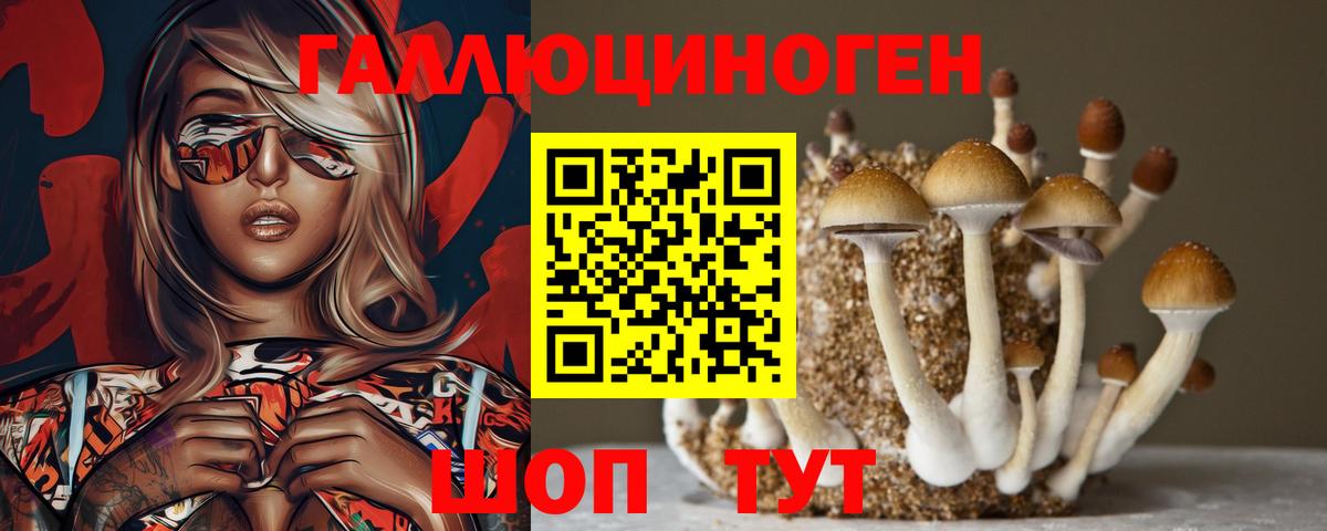 Галлюциногенные грибы мухоморы  Вход с VPN  Чернушка 